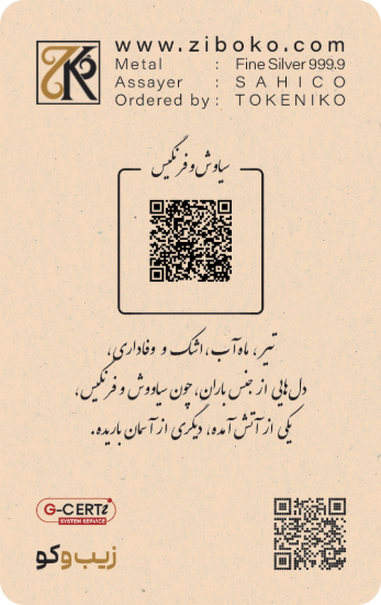 تصویر شمش نقره یک انسی زیبوکو - تیر