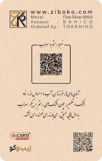 تصویر شمش نقره یک انسی زیبوکو - آبان