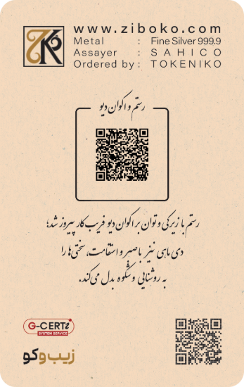 تصویر شمش نقره یک انسی زیبوکو - دی